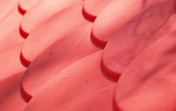 Bac plastic roof costs