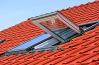 Bac roof window